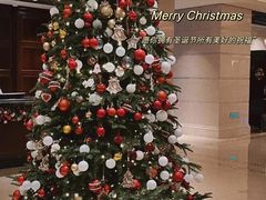 -羿庭 Peacock Alley(上海外滩华尔道夫酒店)