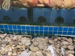 -鹿客臻鲜海鲜自助餐厅(永旺店)