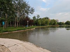 -泰丰公园