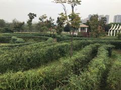 景点-眉山湿地公园(东坡区)