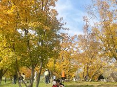 -汉长安城未央宫国家考古遗址公园