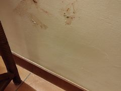 -三亚亚龙湾金棕榈度假酒店