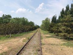 -永定河休闲森林公园