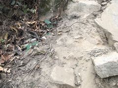 -韩盛·盛江山自助料理(奥体万达店)