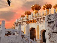 -上海东林寺(金山区)