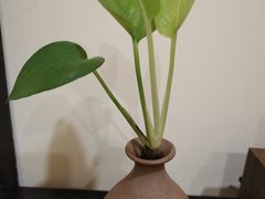 -沐善人家中医·推拿·理疗·三伏灸(新洲店)