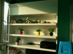 -Sasoo三和秀科技护肤抗衰中心