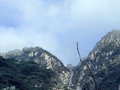 -泰山风景名胜区