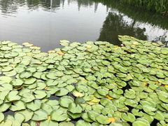 -成飞公园