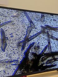 -黎蓓露·徒手骨雕蛋白抗衰·调肤管理