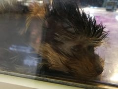 -乐宠宠物店(世纪金源店)