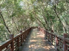 -紫金山天文台