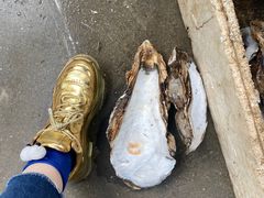 -十四涌水产中心