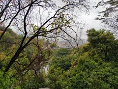 -云洞岩风景区