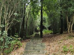 -潜山国家森林公园