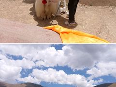 -羊卓雍措