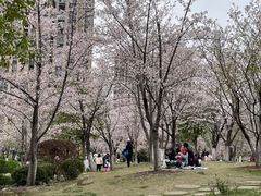 -堤角公园