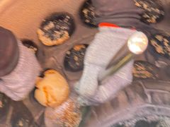 -百年夯碳烤胡椒饼(阿拉城店)