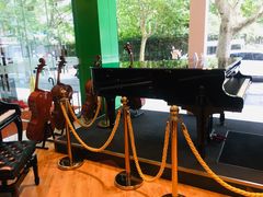 -柏斯琴行(汾阳店)