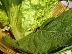 -火炉情韩国料理店(古田路店)