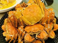 -王宝和酒家(黄浦店)