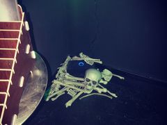-百川·追风楼沉浸式剧本杀