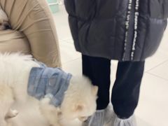 -怪兽屋·羊驼·猫咖·狗咖(俊华广场店)