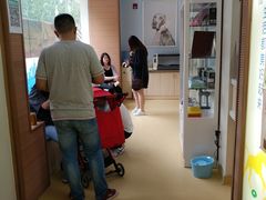 -芭比堂动物医院·犬猫全科·异宠专科(雁塔分院)