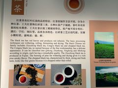 -中国茶叶博物馆(双峰馆区)