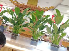 -大清花饺子(山庄店)