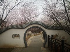 -桃花堤公园