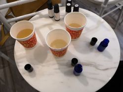 -奥斯芬欧系贵族SPA