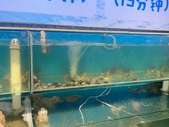 -仙螺岛海鲜自助餐厅(总店)