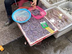 -黄沙水产交易市场