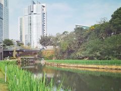 -百林公园-两江幸福广场