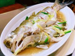 清蒸白鱼-观桥阁(锦溪店)