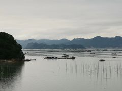 -北岐滩涂