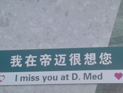 -帝迈造型