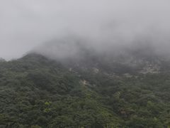 -少华山国家森林公园