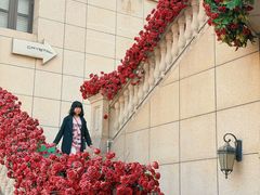 -鲁邦国际风情街(麦世达韩国精品百货店)