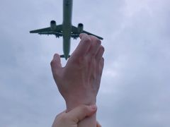 -空港花田景区