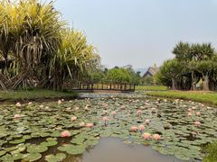 -中国科学院西双版纳热带植物园