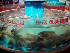 -魏铭鱼头捞饭(晋阳路店)