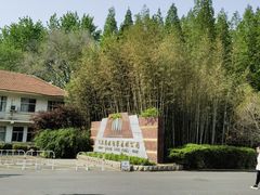 -日照海滨国家森林公园