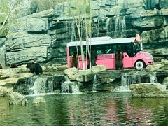 -北京野生动物园