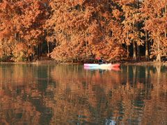 -上海海湾国家森林公园