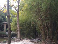 景点-汇龙潭