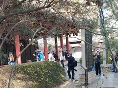 -碑林公园