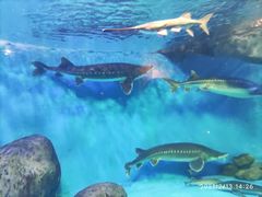 -多彩贵州城极地海洋世界