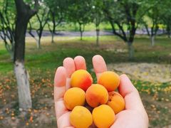 -成都中医药大学(温江校区)